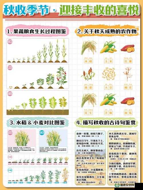 当代人生游戏农作物玩法是如何一步步演变的？揭秘其演变史专题