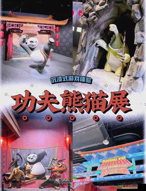 功夫熊猫手游寻宝奇遇怎么玩？详解玩法及奖励悬念揭秘！