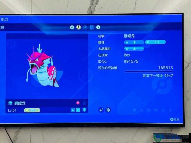 口袋妖怪复刻闪光暴鲤龙实力如何？全面图鉴解析与未来玩法前瞻