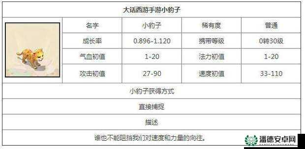 大话西游手游亲密度上限是多少？揭秘快速提升亲密度的秘诀！