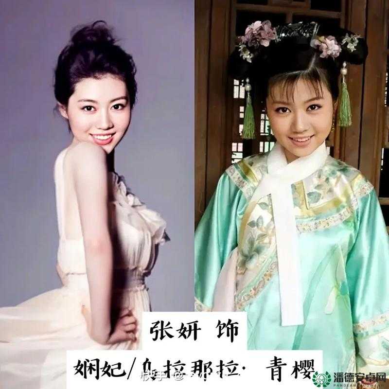 甄嬛传手游中淳常在如何搭配才能达到最强阵容？揭秘顶级策略！