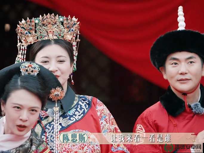 甄嬛传手游中，温太医如何搭配阵容才能实现价值最大化？