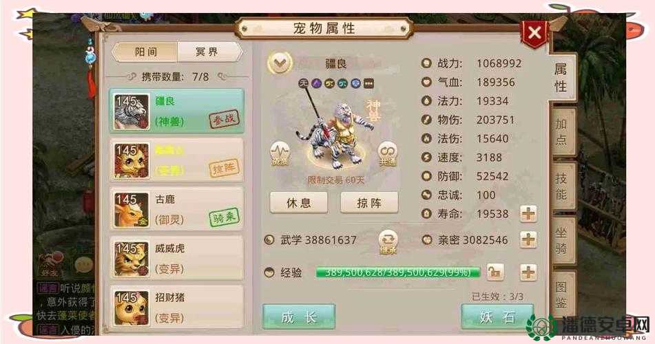 问道手游宠物系统深度揭秘，宠物属性作用与技能如何影响战斗？