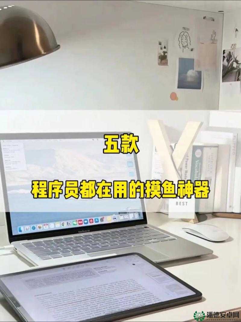 中国式人生程序员必看！3天速成攻略带你实现职业飞跃附隐藏技巧