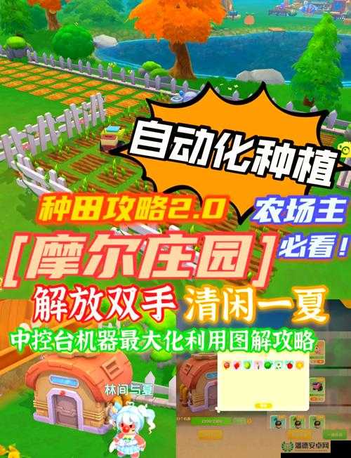 摩尔庄园手游白菜速刷攻略！农作物隐藏作用大揭秘